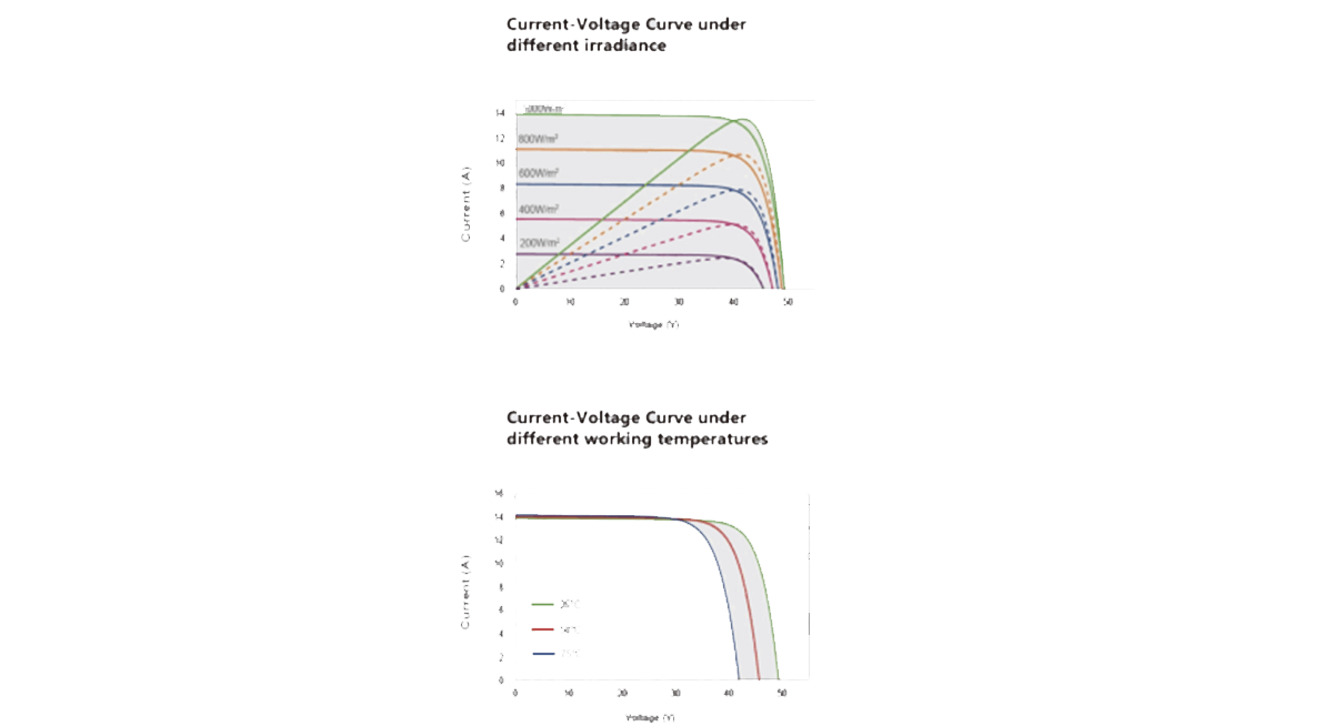 IV Curve