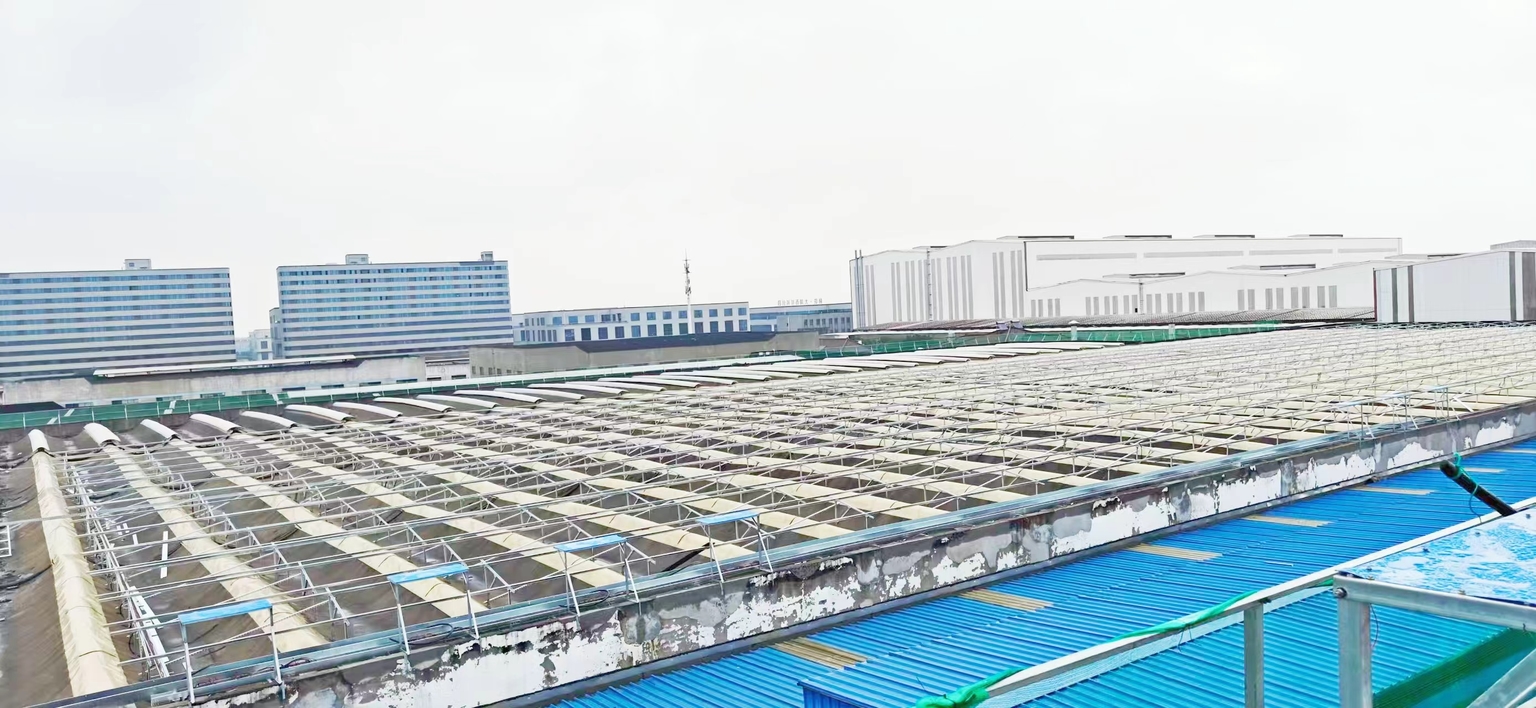 N-type TOP Con High-Efficiency Monocrystalline Silicon Module Technology Application