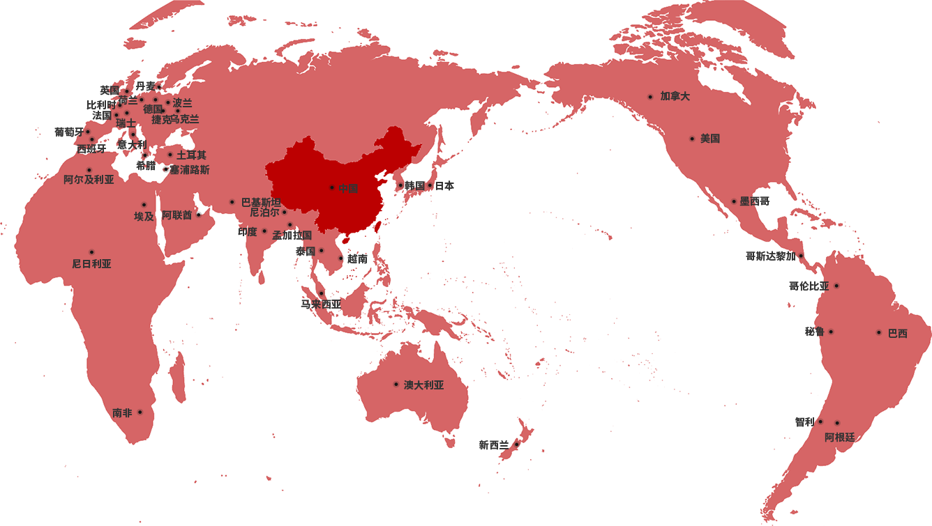 Global network map